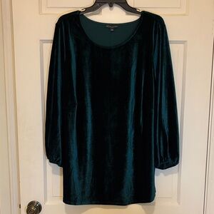 Adrianna Papell Deep Green Velvet Blouse